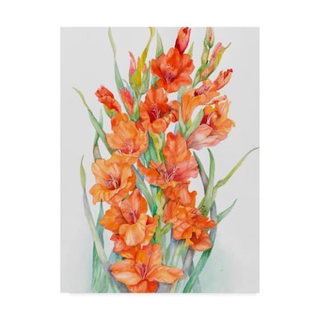 Joanne Porter 'Hot Orange Gladiolus' Canvas Art,24x32